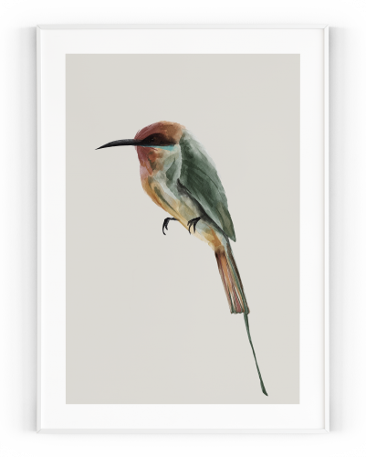 Plakát / Obraz Bird - Rozměr: 40 x 50 cm, Materiál: Tiskové plátno, Bílý okraj: S bílým okrajem