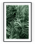 Plakát / Obraz Areka - Velikost: 50 x 70 cm, Materiál: Samolepící plátno, Bílý okraj: S okrajem