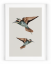 Plakát / Obraz Two Bird - Velikost: 30 x 40 cm, Materiál: Samolepící plátno, Bílý okraj: S okrajem