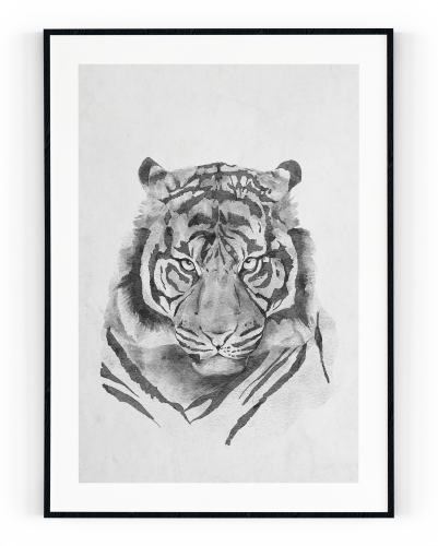 Plakát / Obraz Tygr
