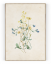 Plakát / Obraz Flowers