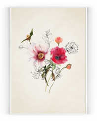 Plakát / Obraz Luční květy