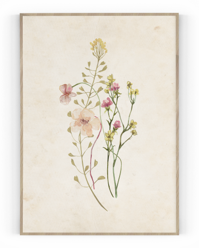 Plakát / Obraz Flowers