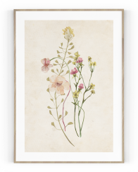Plakát / Obraz Flowers
