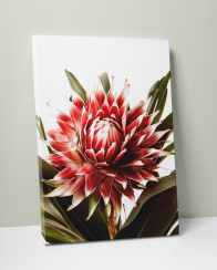 Plakát / Obraz Červená Protea