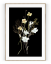 Plakát / Obraz Flowers