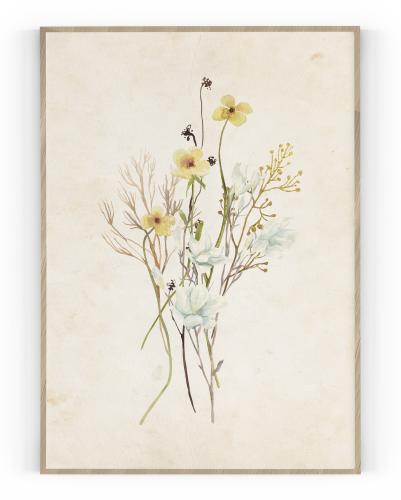 Plakát / Obraz Flowers