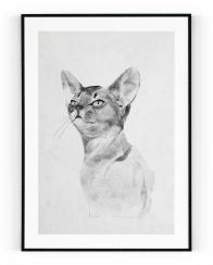 Plakát / Obraz Sphynx
