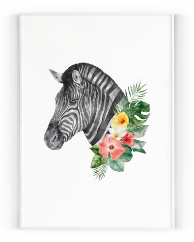 Plakát / Obraz Zebra