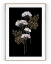 Plakát / Obraz Flowers