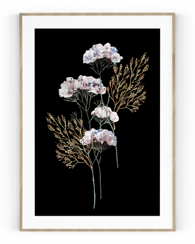 Plakát / Obraz Flowers