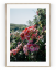 Plakát / Obraz Balsamina - Rozměr: 40 x 50 cm, Materiál: Pololesklý saténový papír