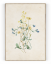 Plakát / Obraz Flowers - Velikost: 61 x 91,5 cm, Materiál: Samolepící plátno