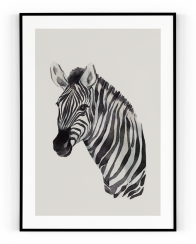 Plakát / Obraz Zebra