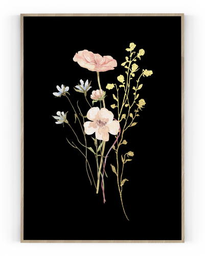 Plakát / Obraz Flowers