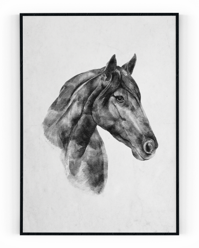 Plakát / Obraz Kůň