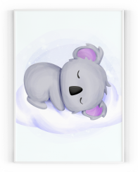 Plakát / Obraz Koala