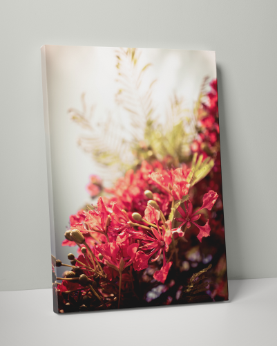Plakát / Obraz Bloom - Velikost: A4 - 21 x 29,7 cm, Materiál: Pololesklý saténový papír 210 g/m², Bílý okraj: Bez okraje