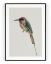 Plakát / Obraz Bird - Velikost: 40 x 50 cm, Materiál: Samolepící plátno, Bílý okraj: S okrajem