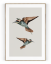 Plakát / Obraz Two Bird - Velikost: 40 x 50 cm, Materiál: Samolepící plátno, Bílý okraj: S okrajem
