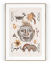 Plakát / Obraz Ancient - Rozměr: A4 - 21 x 29,7 cm, Materiál: Tiskové plátno