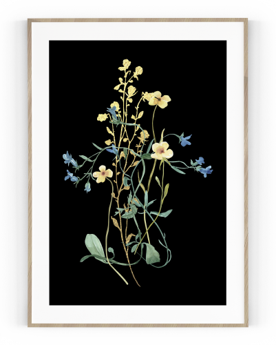 Plakát / Obraz Flowers