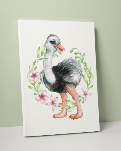 Plakát / Obraz Pštrosík