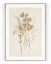 Plakát / Obraz Flowers - Velikost: 50 x 70 cm, Materiál: Pololesklý saténový papír