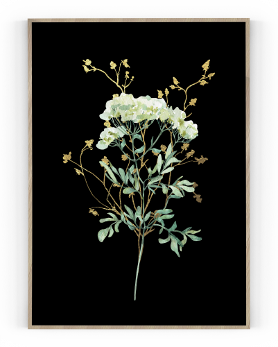 Plakát / Obraz Flowers