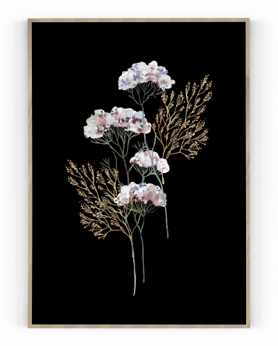 Plakát / Obraz Flowers