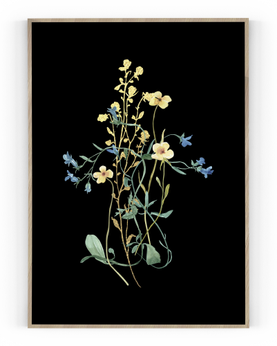 Plakát / Obraz Flowers