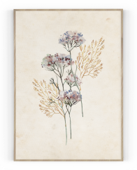 Plakát / Obraz Flowers
