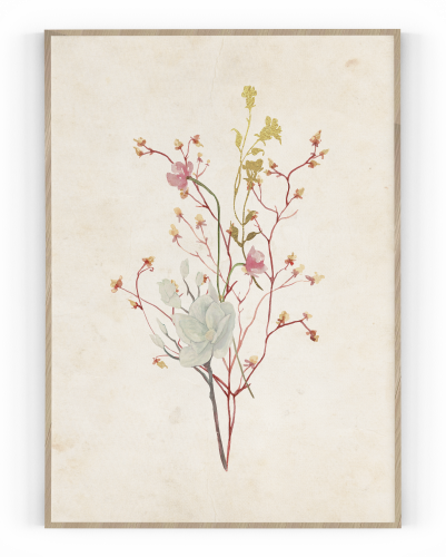 Plakát / Obraz Flowers - Velikost: 30 x 40 cm, Materiál: Samolepící plátno