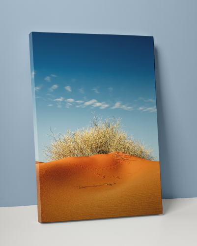 Plakát / Obraz Dune - Velikost: 50 x 70 cm, Materiál: Pololesklý saténový papír 210 g/m², Bílý okraj: S okrajem