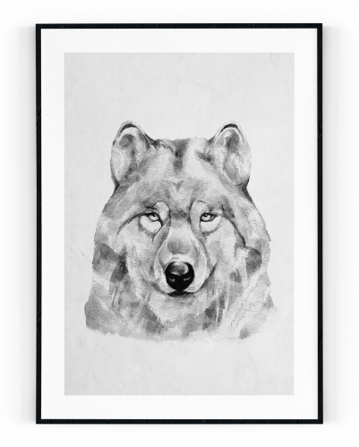 Plakát / Obraz Vlk