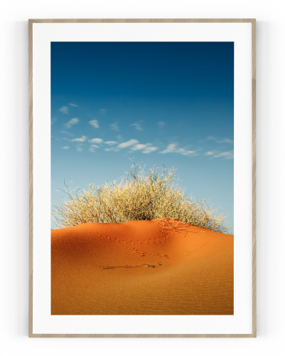 Plakát / Obraz Dune
