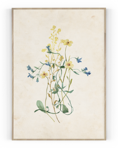 Plakát / Obraz Flowers