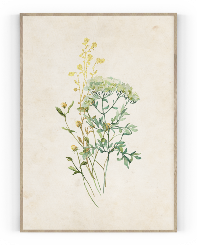 Plakát / Obraz Flowers
