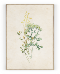 Plakát / Obraz Flowers