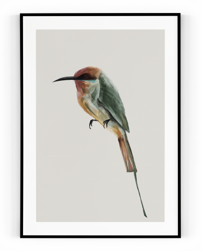 Plakát / Obraz Bird - Velikost: 50 x 70 cm, Materiál: Tiskové plátno, Bílý okraj: S okrajem
