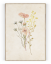 Plakát / Obraz Flowers