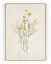 Plakát / Obraz Flowers