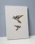 Plakát / Obraz Two Bird - Rozměr: 50 x 70 cm, Materiál: Tiskové plátno, Bílý okraj: Bez okraje