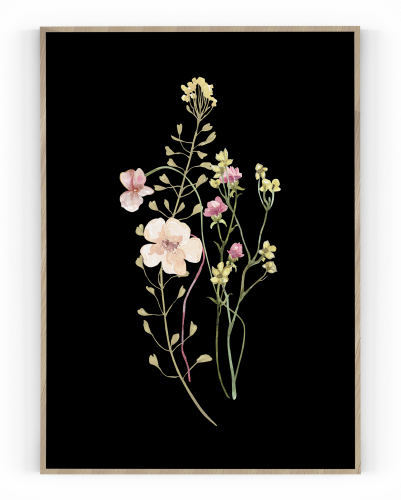 Plakát / Obraz Flowers