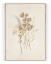 Plakát / Obraz Flowers