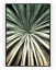 Plakát / Obraz Cactus - Velikost: 30 x 40 cm, Materiál: Samolepící plátno, Bílý okraj: S okrajem