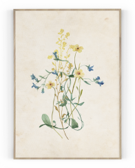 Plakát / Obraz Flowers