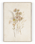 Plakát / Obraz Flowers - Velikost: 50 x 70 cm, Materiál: Tiskové plátno