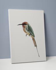 Plakát / Obraz Bird