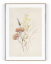 Plakát / Obraz Flowers - Velikost: 30 x 40 cm, Materiál: Pololesklý saténový papír 210 g/m²